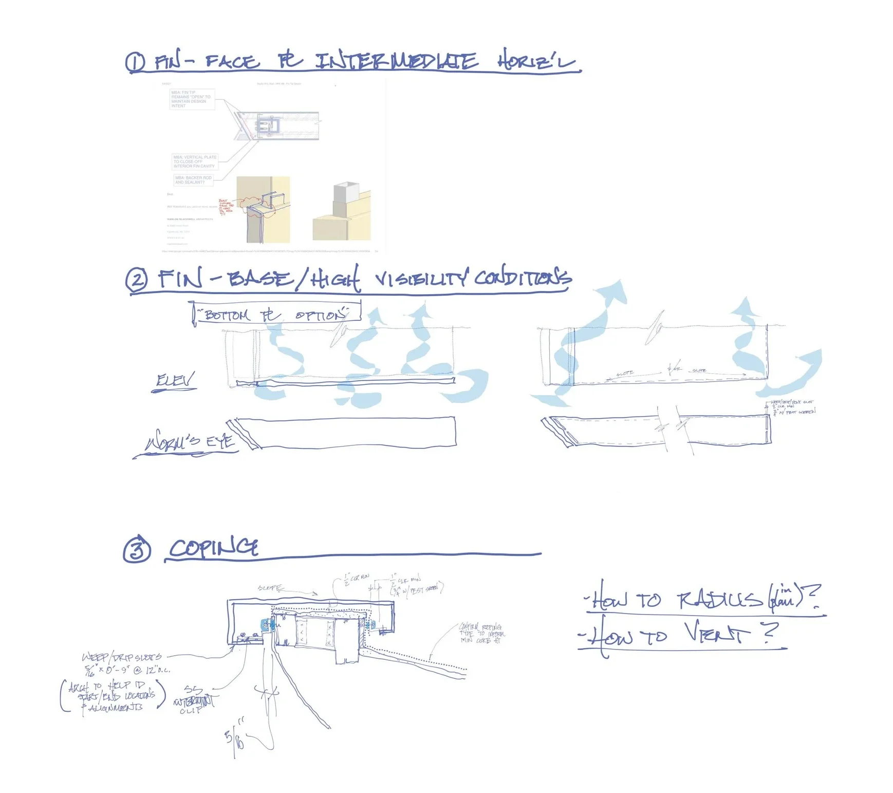 whi fin+tip+sketch