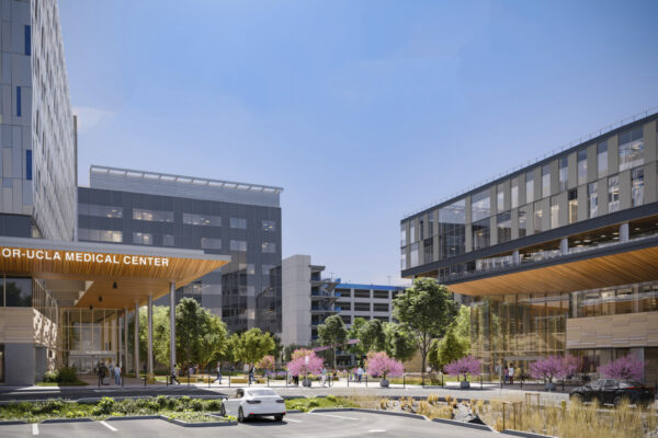 harbor ucla medical center